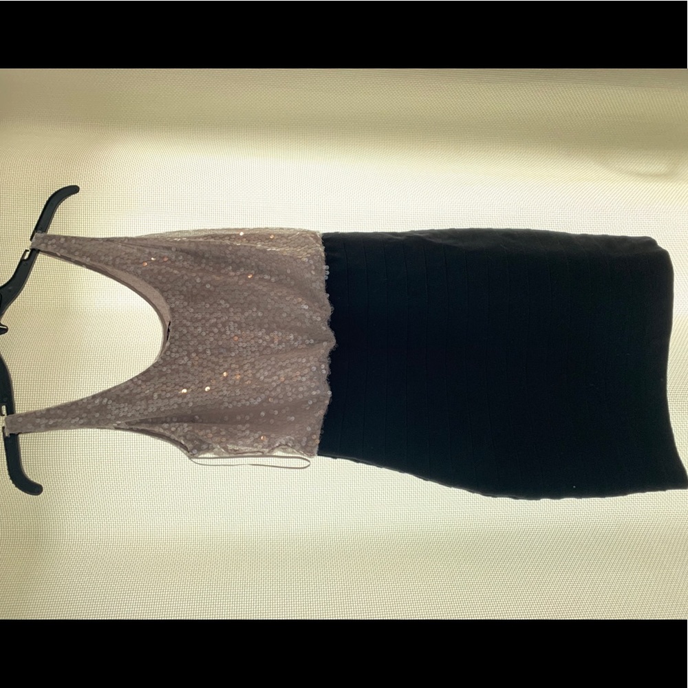 Express Sequin Party Dress